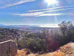 183 HYERES ET SES PALMIERS D03_000008